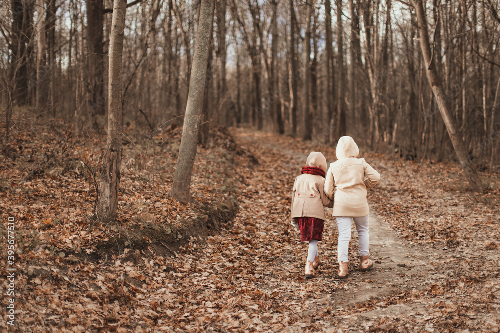 Caucasian children sisters walk together in the park in the forest along the path, girlfriends children hold hands and hug on a walk, view from the back, girly secrets, autumn walks in warm coats