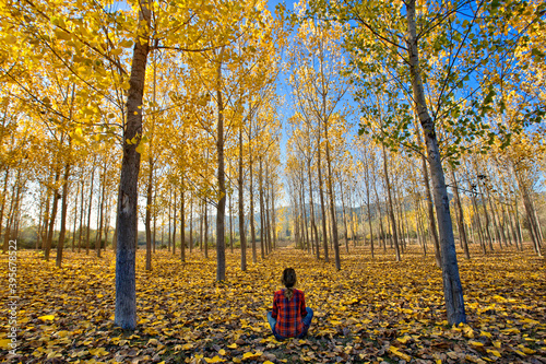 Seven Lakes National Park is located in the Black Sea Region, in the north of Bolu, in the south of Zonguldak, in the east of Düzce, in the east of the province of Mengen. photo