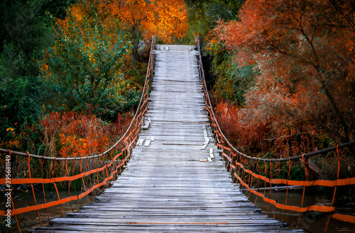 Seven Lakes National Park is located in the Black Sea Region, in the north of Bolu, in the south of Zonguldak, in the east of Düzce, in the east of the province of Mengen. photo