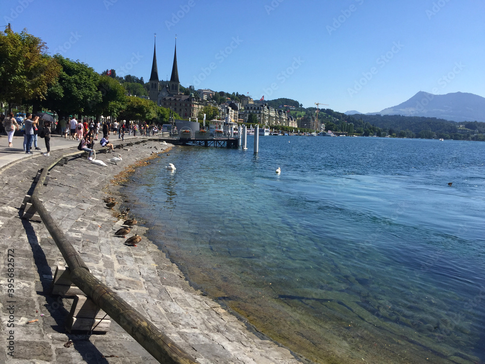 shore view of the lake Lucerne at summer day, in Lucerne Switzerland