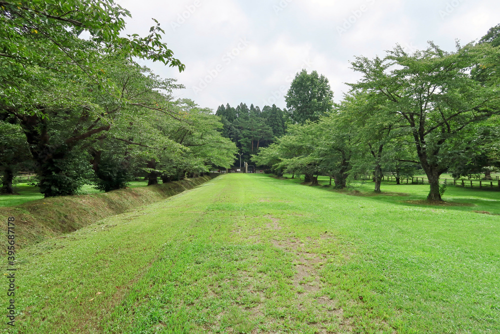 Fototapeta premium 小岩井農場の廃線跡