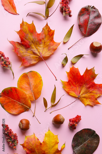 Composition with autumn leaves on color background