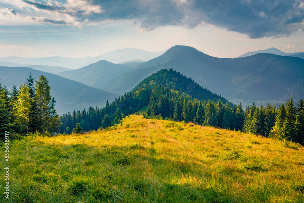 Dramatic evening scene of mountain hills glowing last sunlight. Fresh summer view of Carpathian mountains, Ukraine, Europe. Beauty of nature concept background..