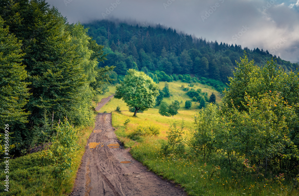 Landscape photography. Dramatic summer scene of mountain valley with old country road.Green summer view of outskirts of Kvasy village, Carpathians, Ukraine. Traveling concept background.. Landscape photography. Dramatic summer scene of mountain valley with old country road.Green summer view of outskirts of Kvasy village, Carpathians, Ukraine. Traveling concept background..