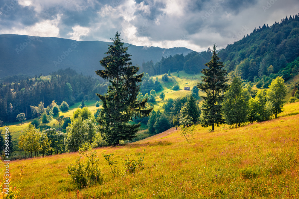 Dramatic summer scene of Kvasy mountain village. Colorful summer view of Carpathian mountains, Ukraine, Europe. Traveling concept background. Landscape photography..
