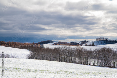 初雪の美瑛パッチワークの丘 © 大西 親文