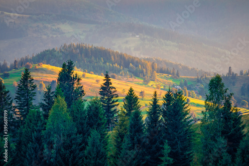 Long phocus picture. Captivating summer view of mountain village. Fabulous morning scene of Carpathian mountains, Snidavka village location, Ukraine. Beauty of nature concept background..