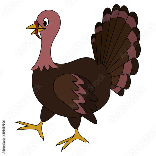 Homemade turkey. The bird is walking. Side view. Colored vector illustration. Isolated white background. Cartoon style. Thanksgiving day symbol. A fabulous character with a lush tail. Variegated color