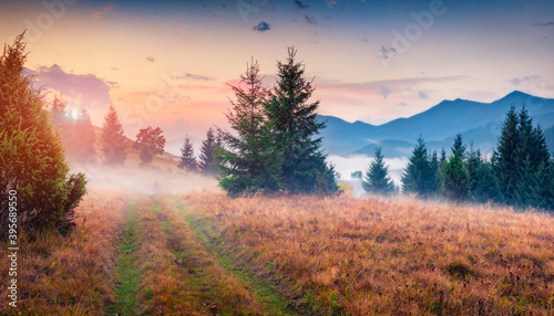 Dawn in Carpathian mountains. Foggy autumn scene of mountain valley with old country road. Picturesque morning scene of Ukrainian countryside. Landscape photography..