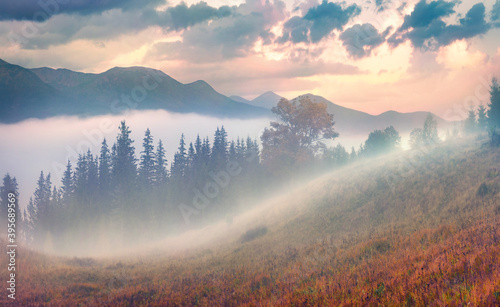 Landscape photography. Foggy sunrise in Carpathian mountains. Astonishing autumn scene of mountain valley. Unbelievable view of Ukrainian countryside. Beautiful autumn scenery. © Andrew Mayovskyy