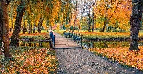 Landscape photography. Calp autumn scene of citypark. Wooden bridge over small river. Colorful morning view of town square. Beauty of nature concept background. photo
