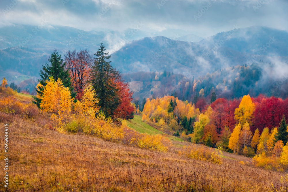 Magnificent autumn view of Carpathian mountains. Dramatic morning scene of mountain valley. Beauty of nature concept background.