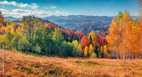 Sunny autumn scene of the mountain meadow. Panoramic morning view of mountain forest, Carpathians, Ukraine, Europe. Beauty of nature concept background.