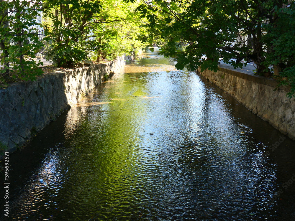 Naklejka premium 真っすぐ流れていく川の景色