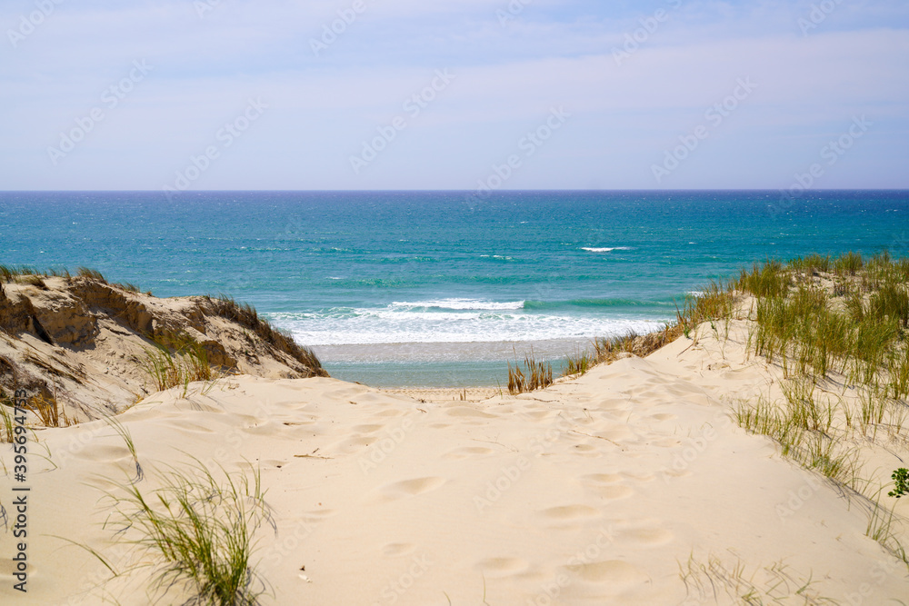 sand beach access with dunes of Le Porge near Lacanau in France