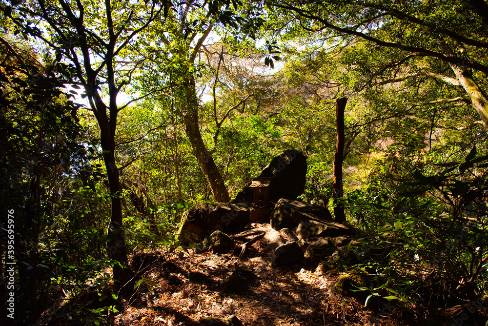 Fototapeta premium 山の景色