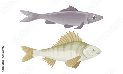 Fish as Gill-bearing Aquatic Animal Used as Seafood Vector Set