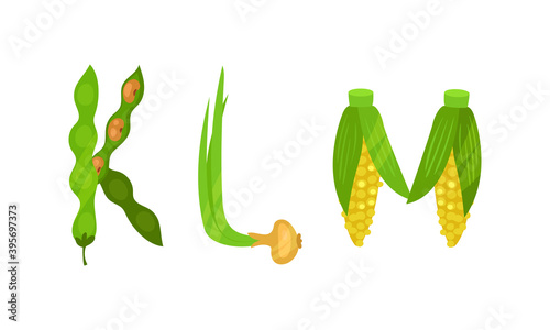 Veggie English Alphabet Letters Made from Fresh Vegetables Vector Set