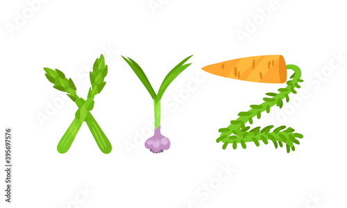 Veggie English Alphabet Letters Made from Fresh Vegetables Vector Set
