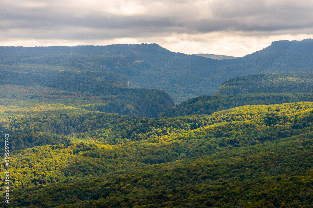 Mountain landscape. Gorge and mountains covered by forest