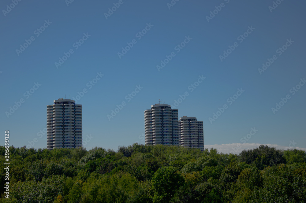 Urban skyscrapers above the treetops.