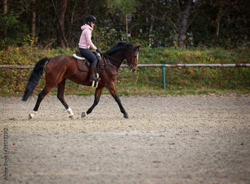 Horse with rider on the riding arena in the trot gait, in phase 1..