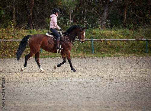 Horse with rider on the riding arena in the trot gait, in phase 2..