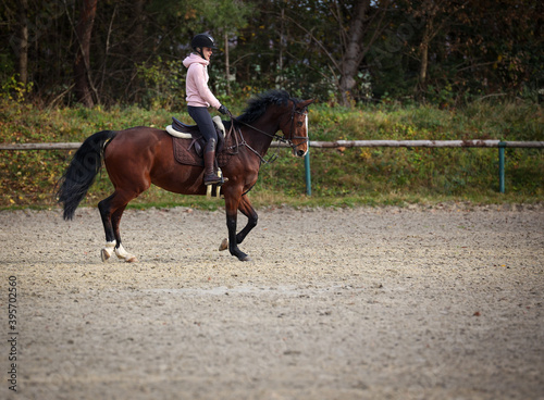 Horse with rider on the riding arena in the trot gait, in phase 3..