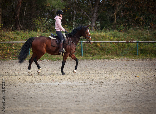 Horse with rider on the riding arena in the trot gait, in phase 4..