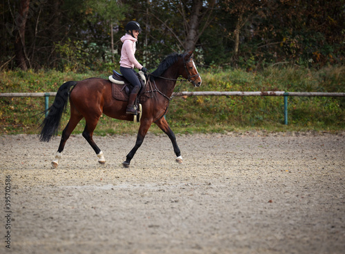 Horse with rider on the riding arena in the trot gait, in phase 5..