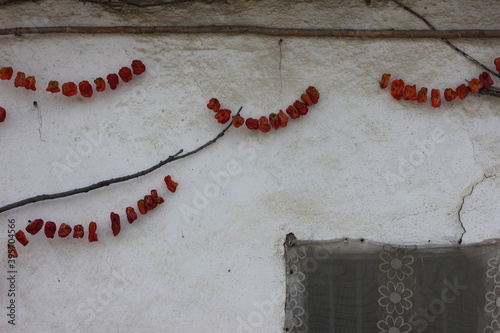 Healthy natural traditional dried vegetables hanging on rural village house wall. Red tomato hanged to dry. Cultural food with bright colors.
