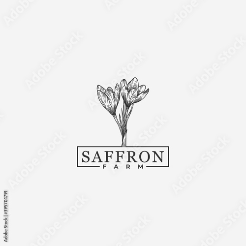 hand drawn saffron farm logo design 