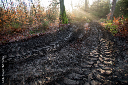 tiefe Reifenspuren durch Holzvollernter im Wald, Bodenverdichtung und Waldschäden bei der Holzernte. photo