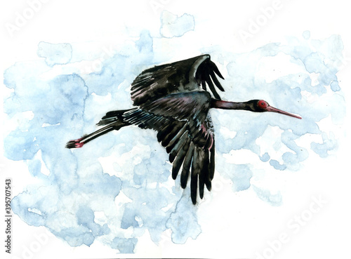 Watercolor black stork flying across the sky