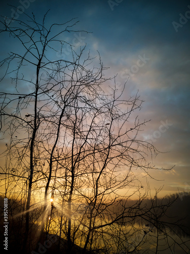 Autumn Morning With Bare Trees photo