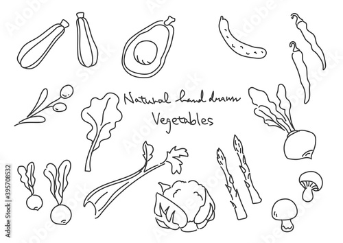 シンプルでお洒落な線画の野菜イラストセット　黒線のみ