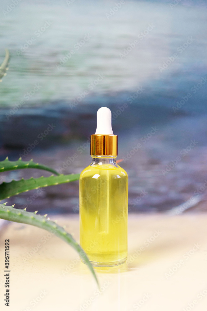 glass cosmetic bottle with a dropper with aloe on the background of the sea .Concept of a cosmetic serum with sea ingredients glass cosmetic bottle with a dropper with aloe on the background of the sea .Concept of a cosmetic serum with sea ingredients