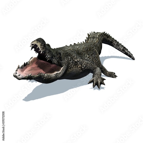 Wild animals - crocodile with shadow on the floor - isolated on white background - 3D illustration