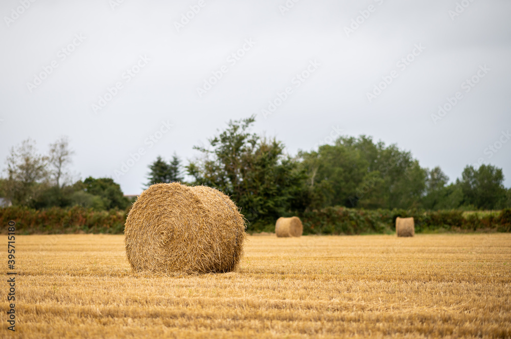 Hay bales on a field in Brittany