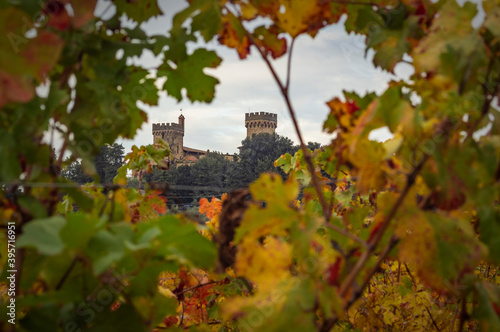 Castello tra le fogli di vite in autunno