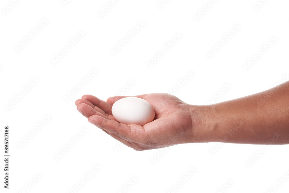 white egg in hand on white background white egg in hand on white background