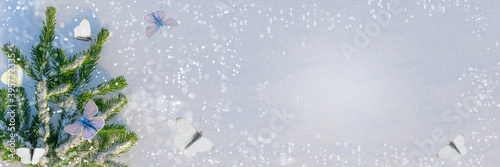 Snow-covered green branches of spruce on blue snow with shadows.Snow butterflies. Panoramic view, copy of the space. Blank, festive fairy background for Christmas, New year