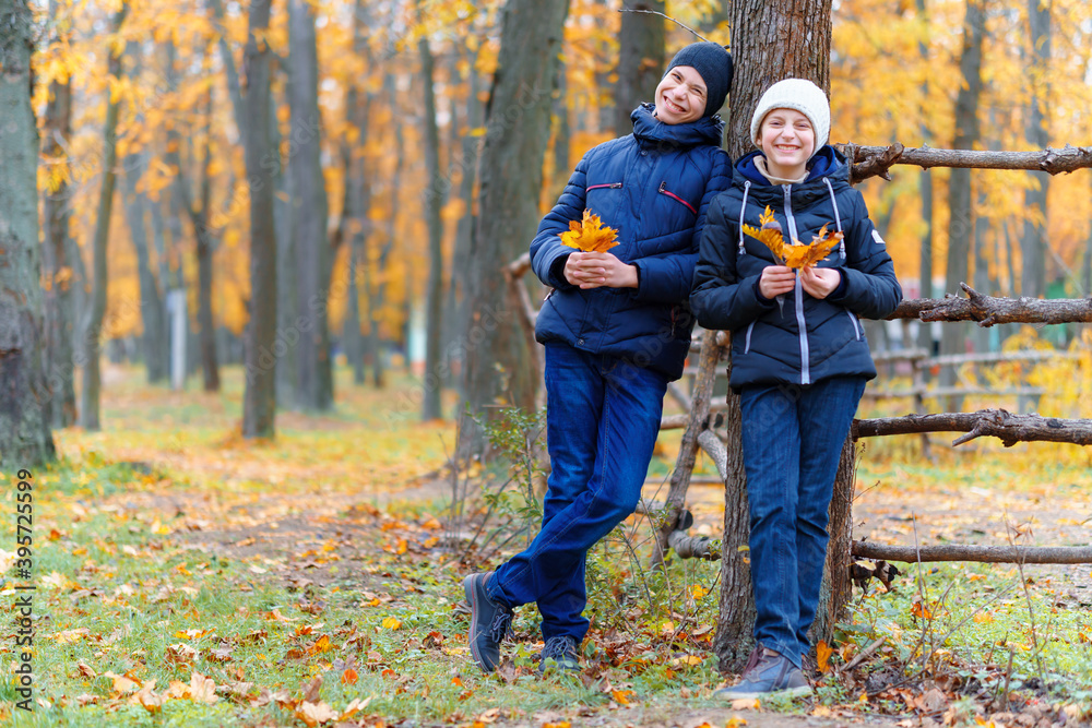 teen girl and boy posing near wooden fence and enjoys autumn in city park, beautiful nature with yellow leaves teen girl and boy posing near wooden fence and enjoys autumn in city park, beautiful nature with yellow leaves