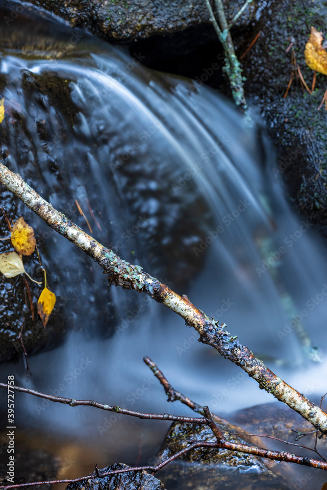 Rocas, musgo y hojas en el arroyo del Sestil. Madrid. España. Europa