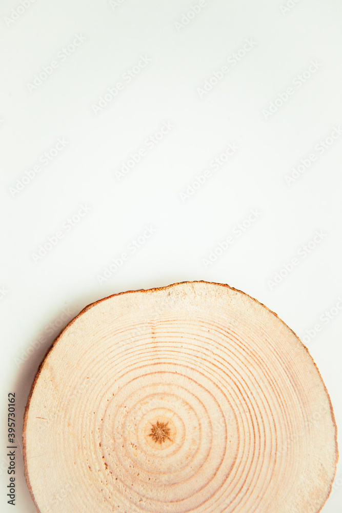 Wood cut, round shape on the white background. Round wooden saw cut. Copy space for text Wood cut, round shape on the white background. Round wooden saw cut. Copy space for text