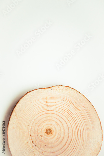 Wood cut, round shape on the white background. Round wooden saw cut. Copy space for text