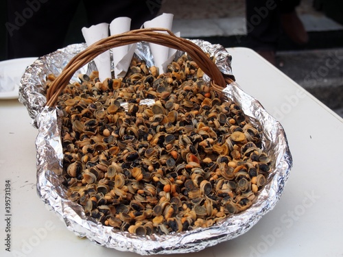 фотографія Patella vulgata, colloquially known as common limpet is an edible species of se