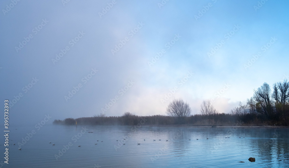 Pfäffiker See mit Nebel im Morgengrauen Pfäffiker See mit Nebel im Morgengrauen