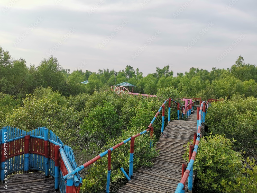 The path-way in the middle of mangrove forest. The world largest mangrove forest SUNDARBAN is by side of the river. It is in Satkhira, Khulna, Bangladesh. 