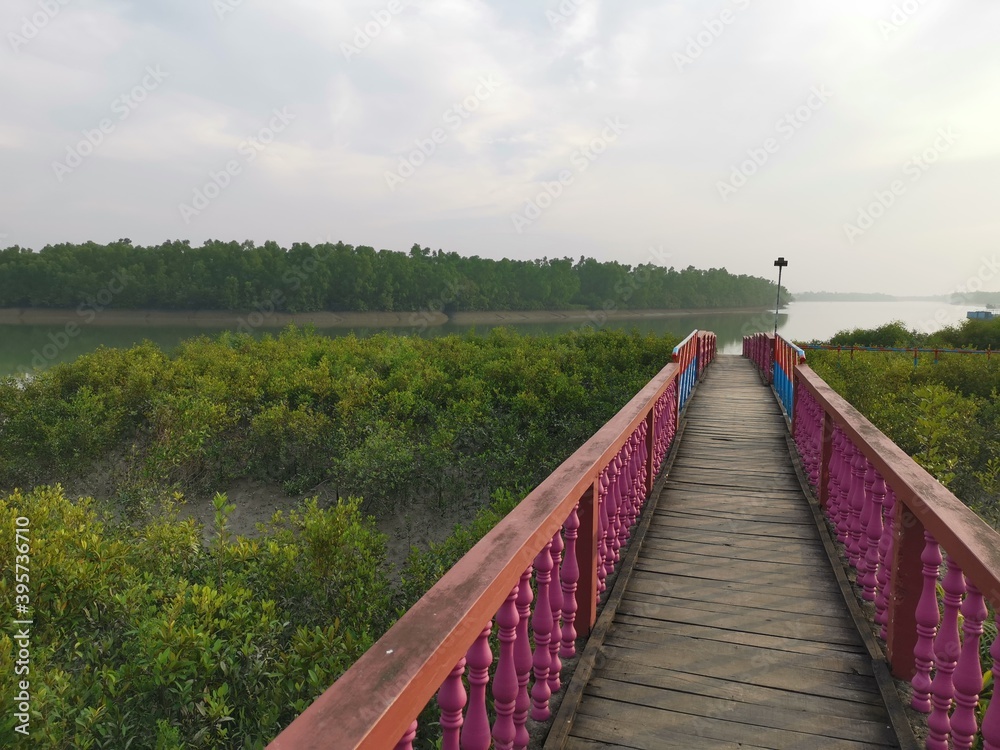 The path-way in the middle of mangrove forest. The world largest mangrove forest SUNDARBAN is by side of the river. It is in Satkhira, Khulna, Bangladesh. 